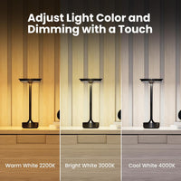 Electric Tabletop Lamp